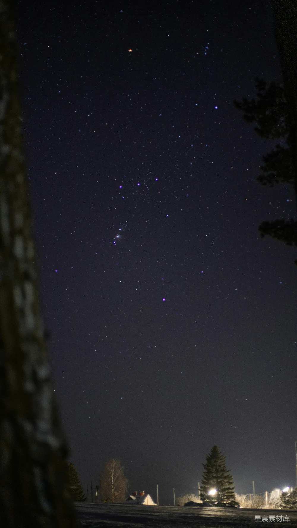 高清摄影 夜景 星空 自然 宁静 户外 夜空下的树影与星河