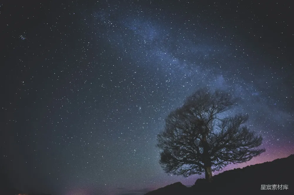 高清摄影 夜晚 星空 树木 宁静 自然 夜晚星空下的孤独树