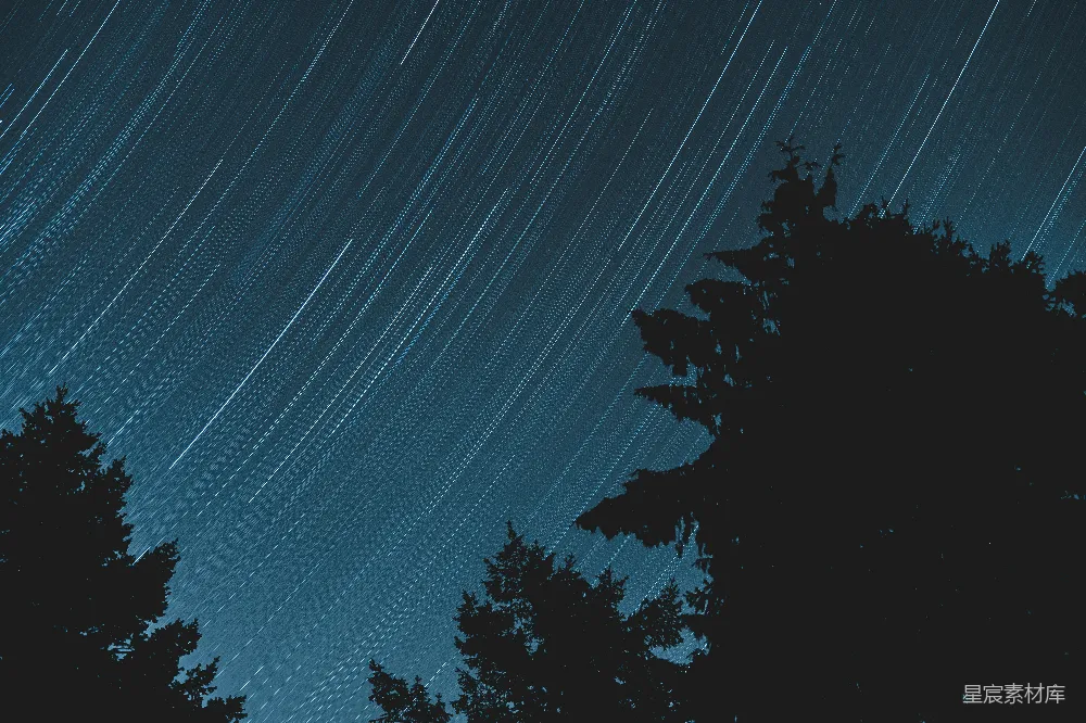 高清摄影 星轨 夜景 自然 宁静 摄影 星轨与森林