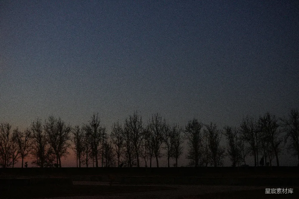 高清摄影 树影 黄昏 自然 宁静 风景 晚霞中的树影