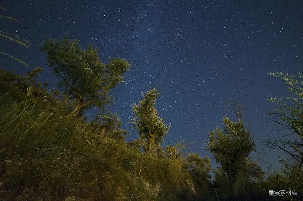 高清摄影 夜空 草地 星空 宁静 自然 夜空下的静谧草地
