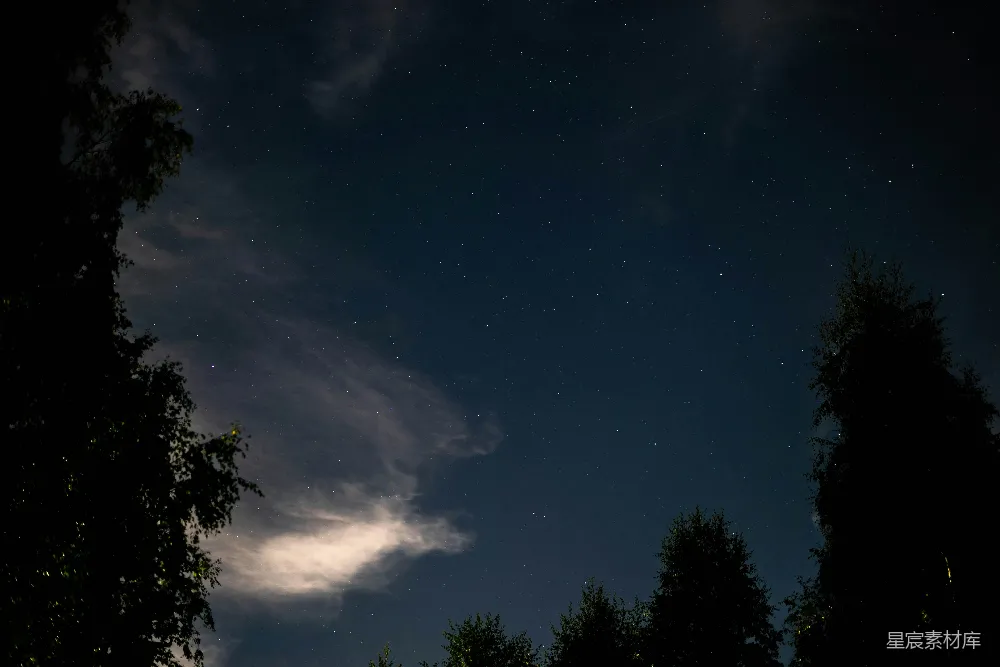 高清摄影 夜空 星星 树木 宁静 自然 夜空下的树梢