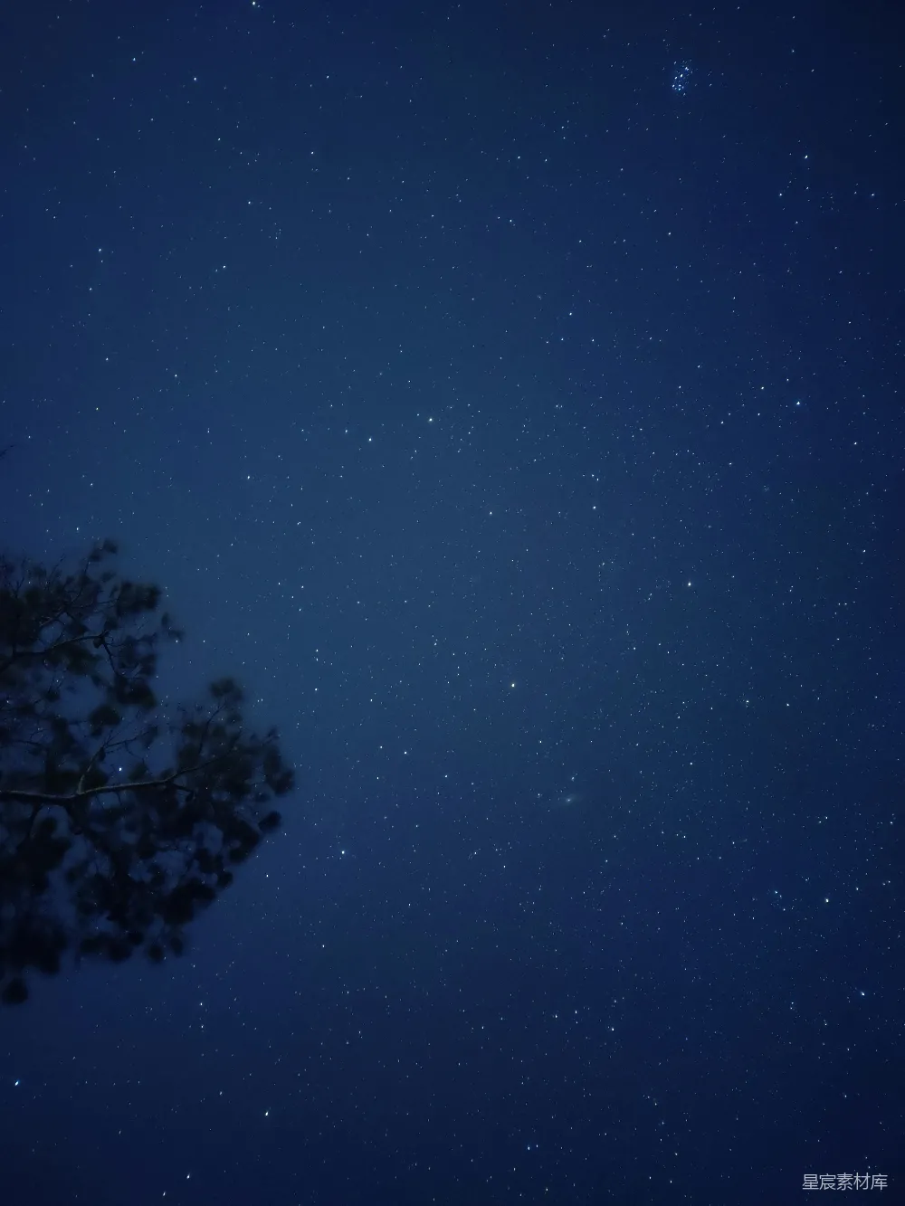 高清摄影 夜空 星星 自然 宁静 摄影 夜空下的繁星