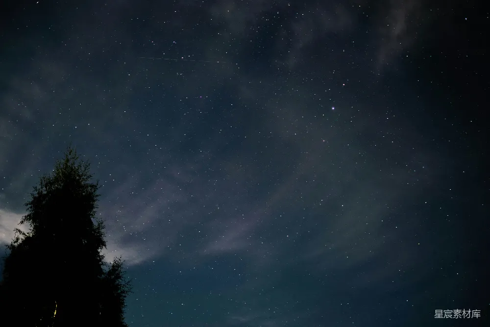 高清摄影 夜空 星空 树木 自然 宁静 夜晚的星空与树木剪影