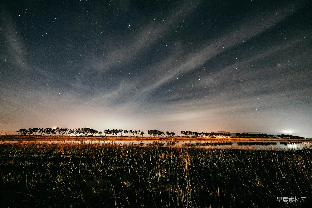 高清摄影 夜景 湿地 星空 宁静 自然 星空下的湿地