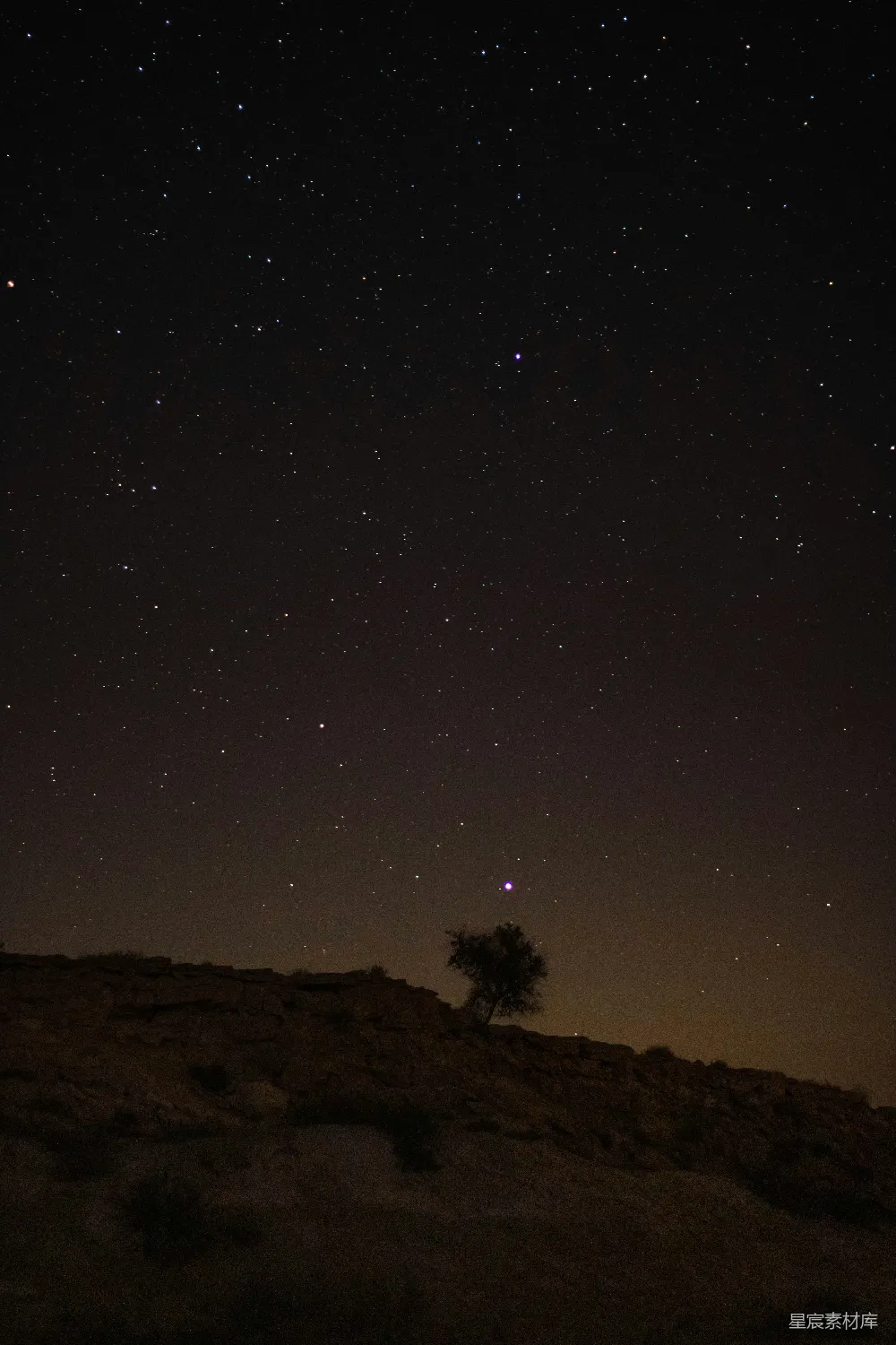 高清摄影 夜景 星空 孤独 自然 宁静 夜空下的孤树