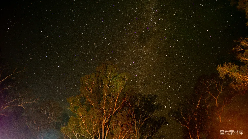 高清摄影 夜景 星空 自然 宁静 户外 夜空下的森林