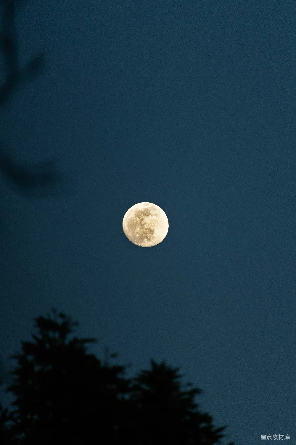 高清摄影 月亮 夜景 自然 宁静 户外 夜空中明亮的满月