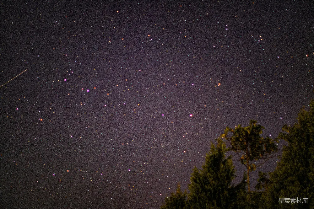 高清摄影 夜景 星空 自然 宁静 户外 星空下的树影