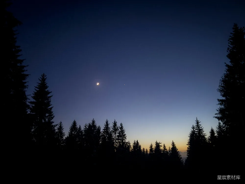 高清摄影 夜景 自然 宁静 森林 星月 夜幕下的林梢与星月