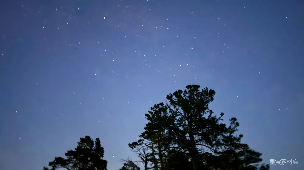 高清摄影 星空 松树 夜景 宁静 自然 星空下的松树