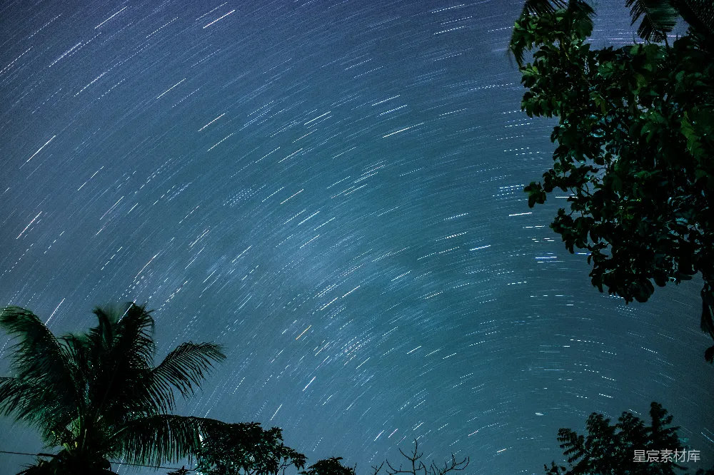 高清摄影 夜景 星轨 自然 椰子树 宁静 星轨下的椰林