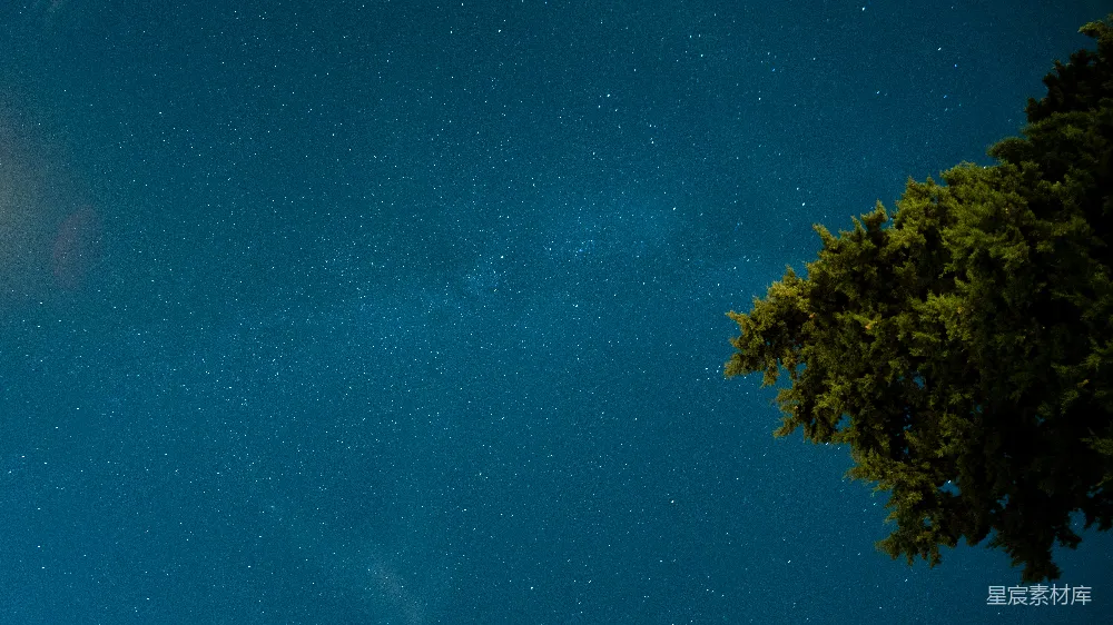 高清摄影 夜空 星空 松树 宁静 自然 夜空下的松树