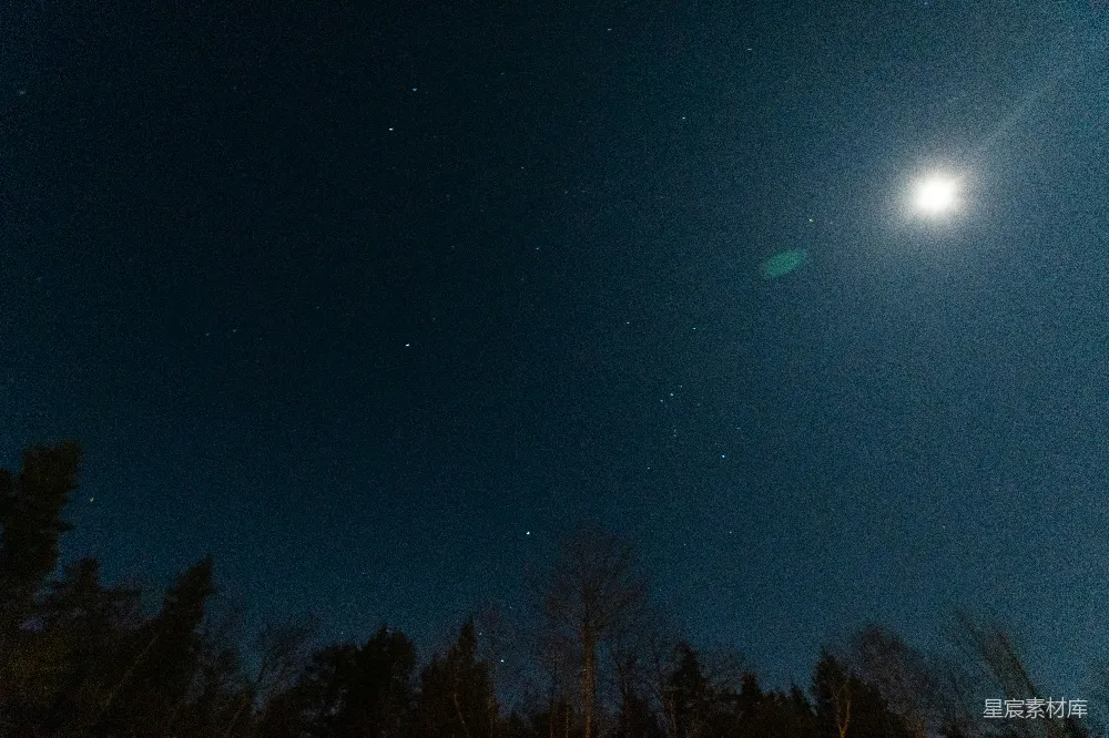 高清摄影 夜景 星空 森林 宁静 自然 夜空下的森林与满天星斗