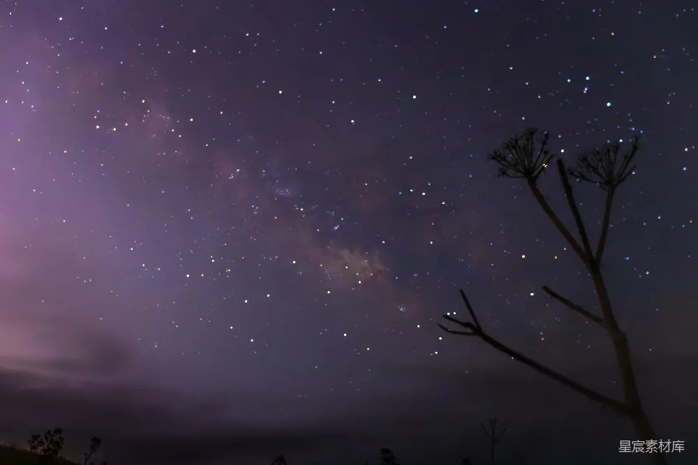 高清摄影 夜空 星星 银河 自然 宁静 夜空下的星河