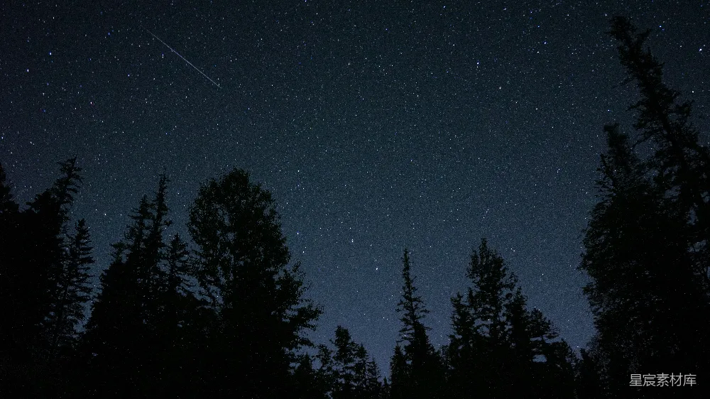 高清摄影 夜空 流星 松林 自然 宁静 夜空下的流星与松林
