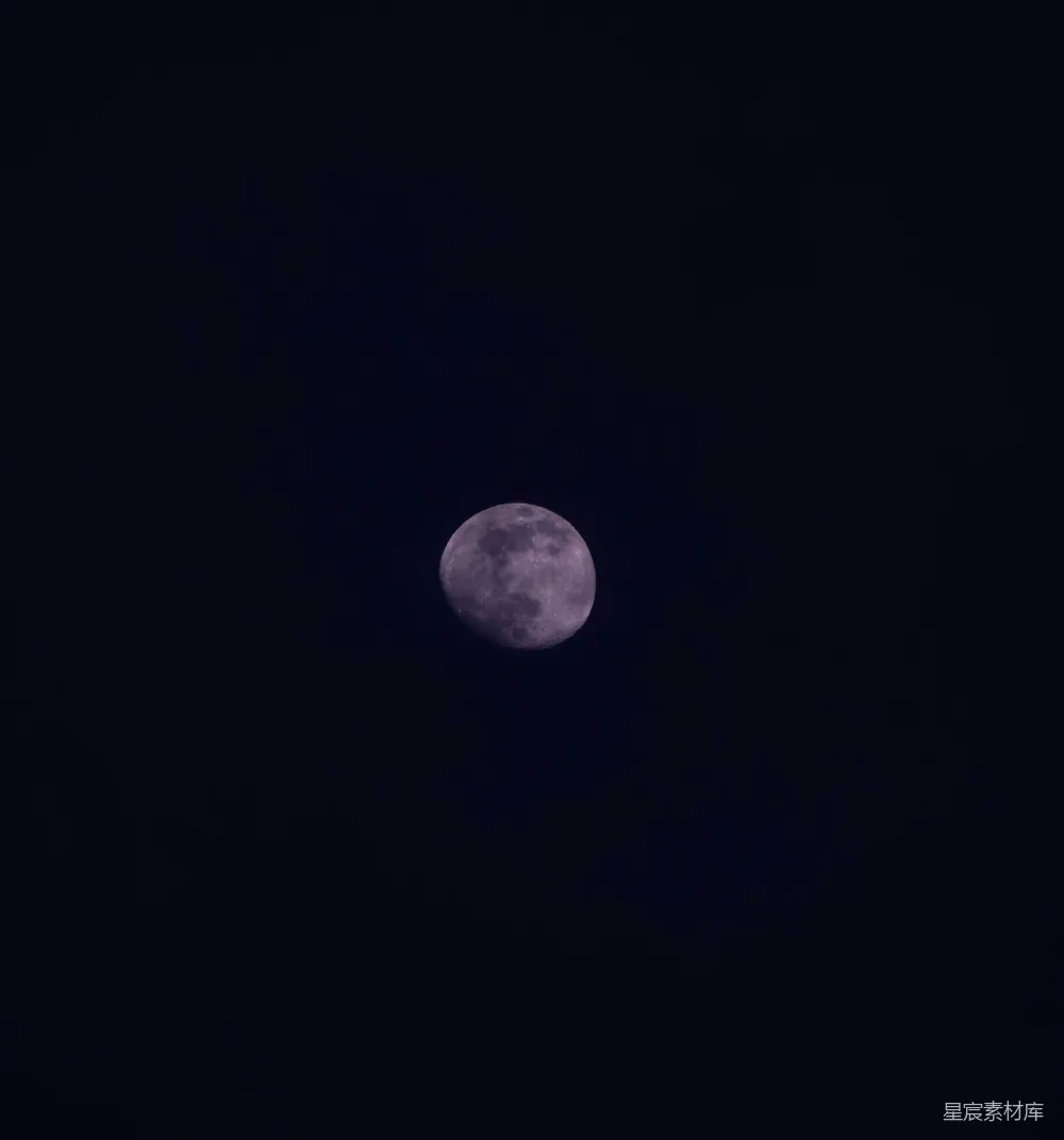 高清摄影 月亮 夜空 自然 宁静 紫色 夜空中的紫色月亮