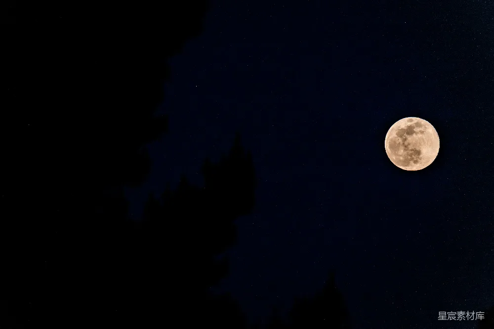 高清摄影 夜景 月亮 树影 宁静 自然 月夜下的树影