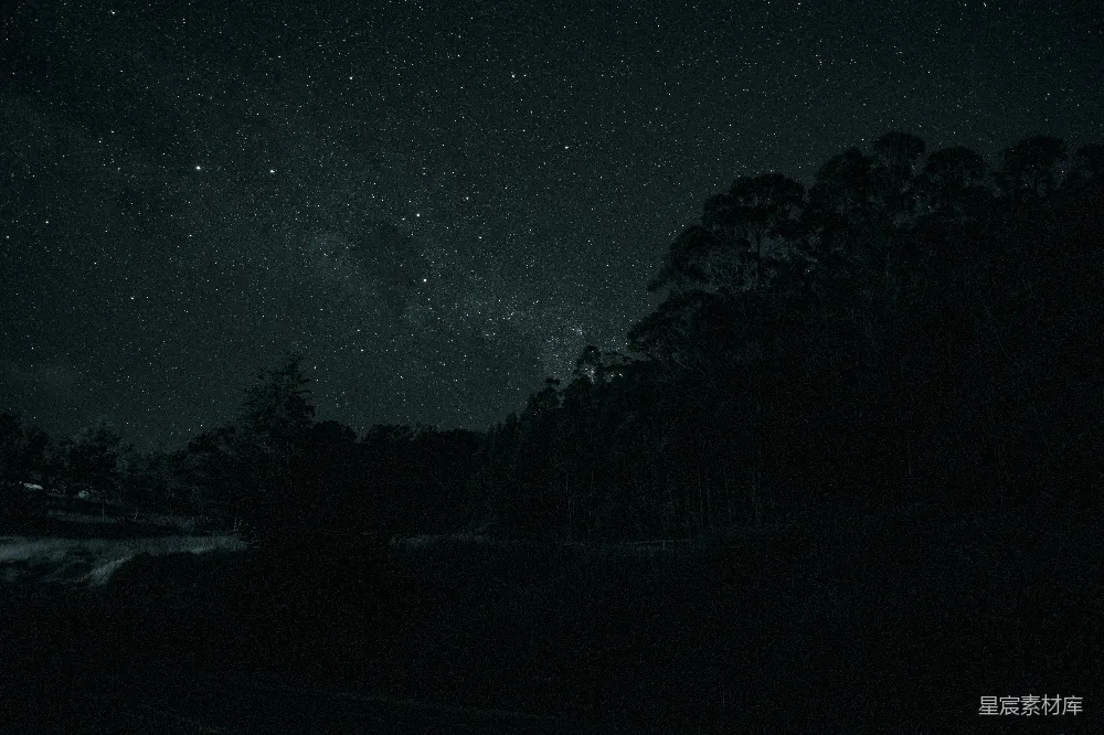 高清摄影 夜景 自然 宁静 星河 深邃 星空下的森林