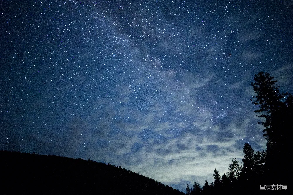 高清摄影 夜晚 星空 自然 宁静 银河 银河夜空下的森林