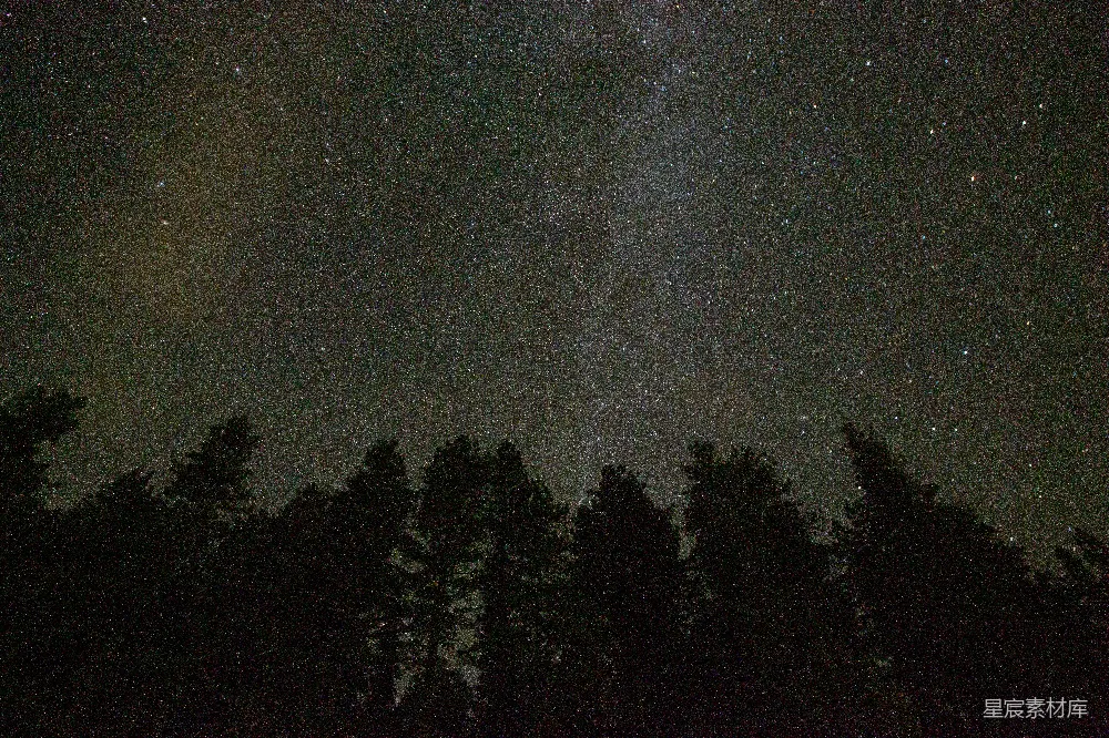 高清摄影 夜景 森林 星空 宁静 自然 夜幕下的森林与星空