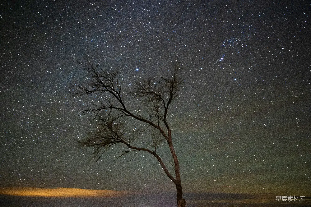 高清摄影 夜空 孤独 自然 宁静 夜晚 星空下的孤独树
