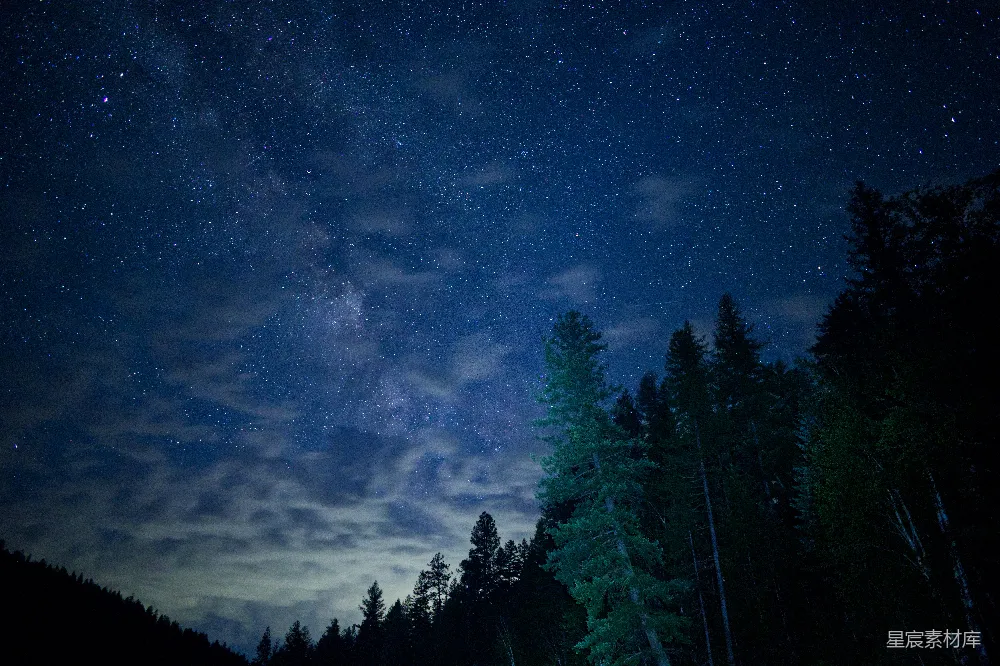 高清摄影 夜景 星空 自然 宁静 森林 夜空下的森林