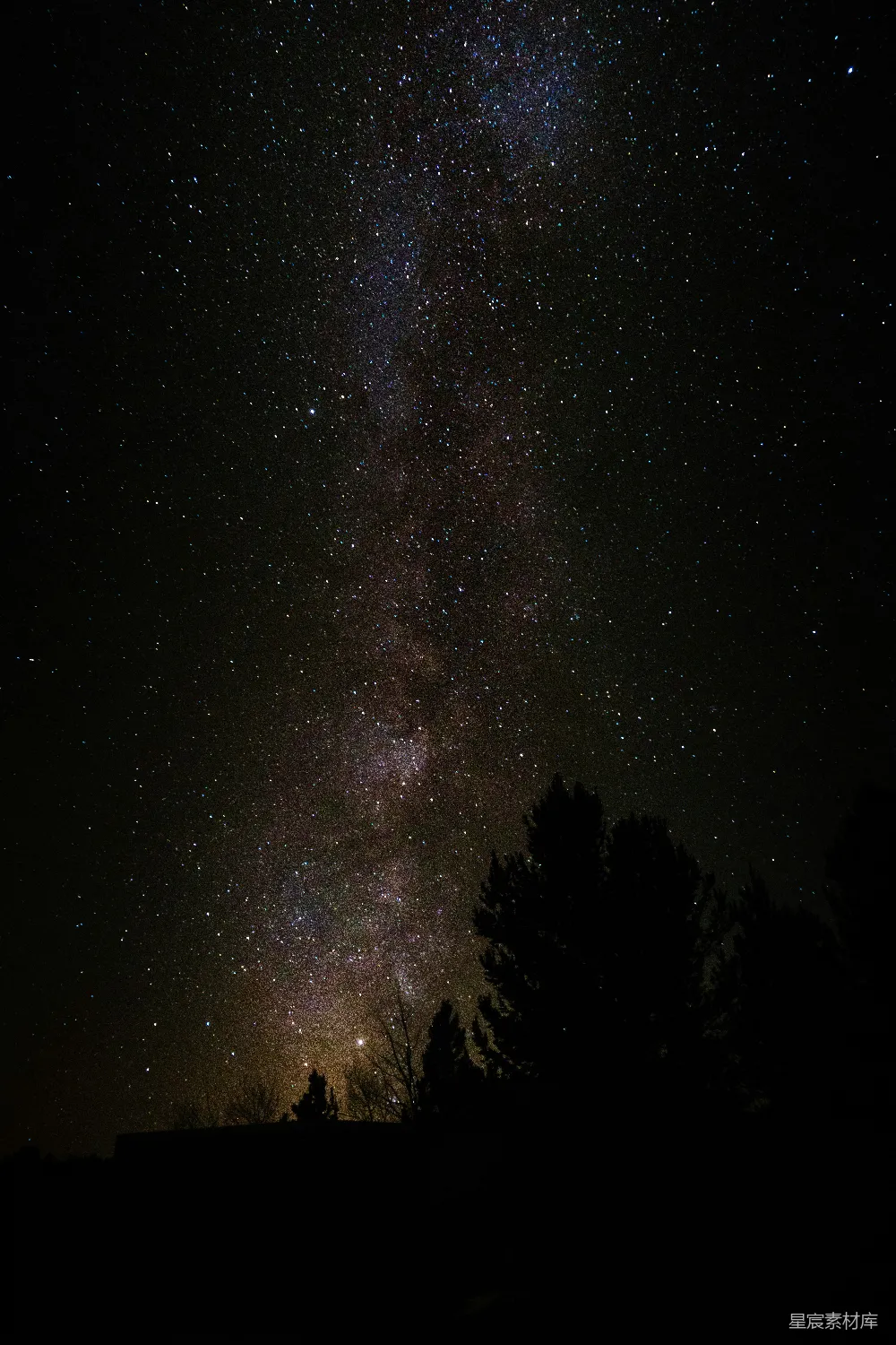 高清摄影 夜空 银河 森林 宁静 星空 银河夜空下的静谧森林