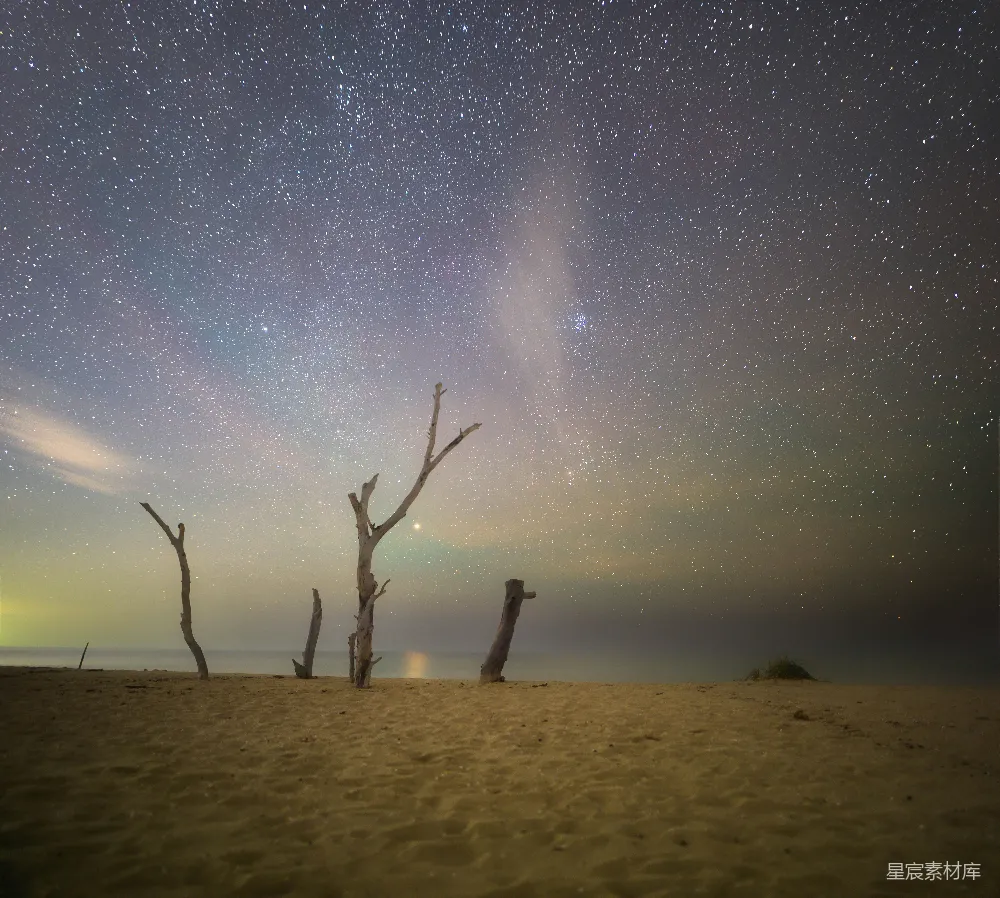 高清摄影 夜景 星空 海滩 枯树 宁静 夜空下的枯木