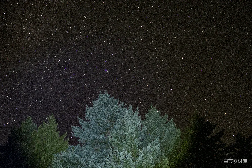 高清摄影 夜空 星星 森林 宁静 自然 夜空下的森林