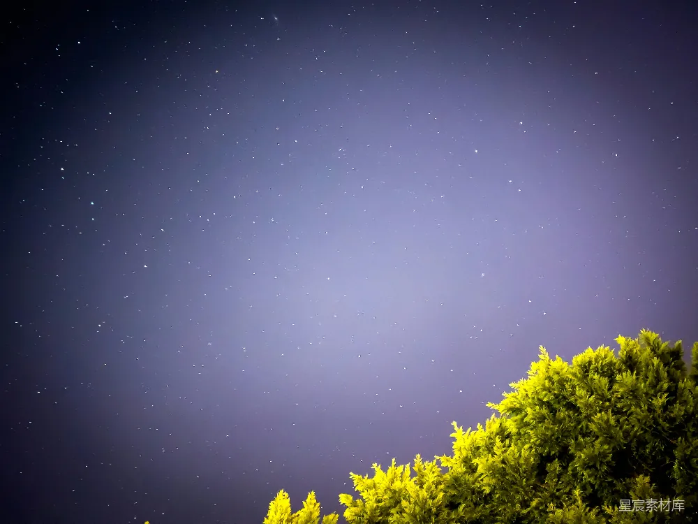 高清摄影 星空 夜景 自然 宁静 户外 夜空下的绿色灌木
