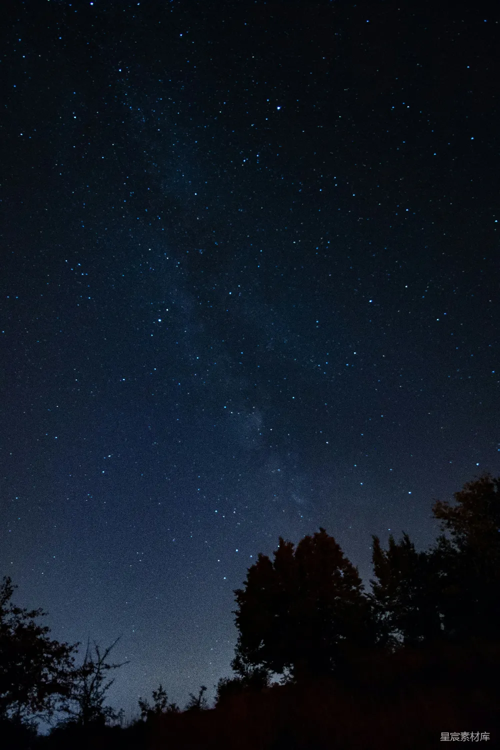 高清摄影 夜空 银河 树木 宁静 自然 星河夜空下的静谧