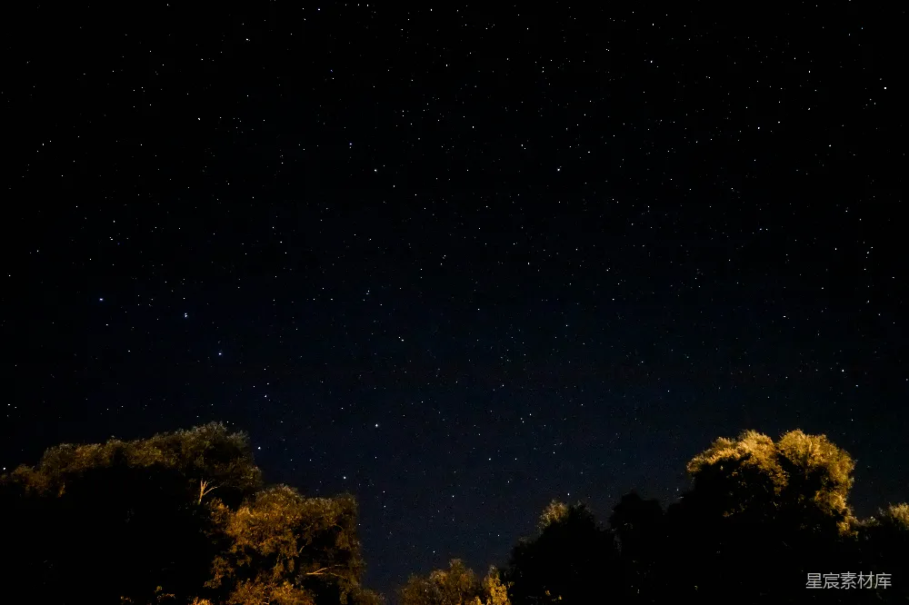 高清摄影 夜空 星星 自然 宁静 户外 夜空下的星光与树梢