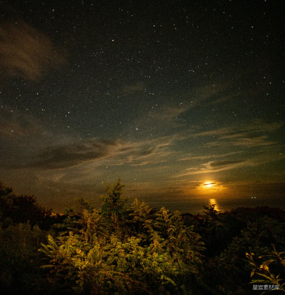 高清摄影 夜景 星空 森林 自然 宁静 月夜下的森林与星空