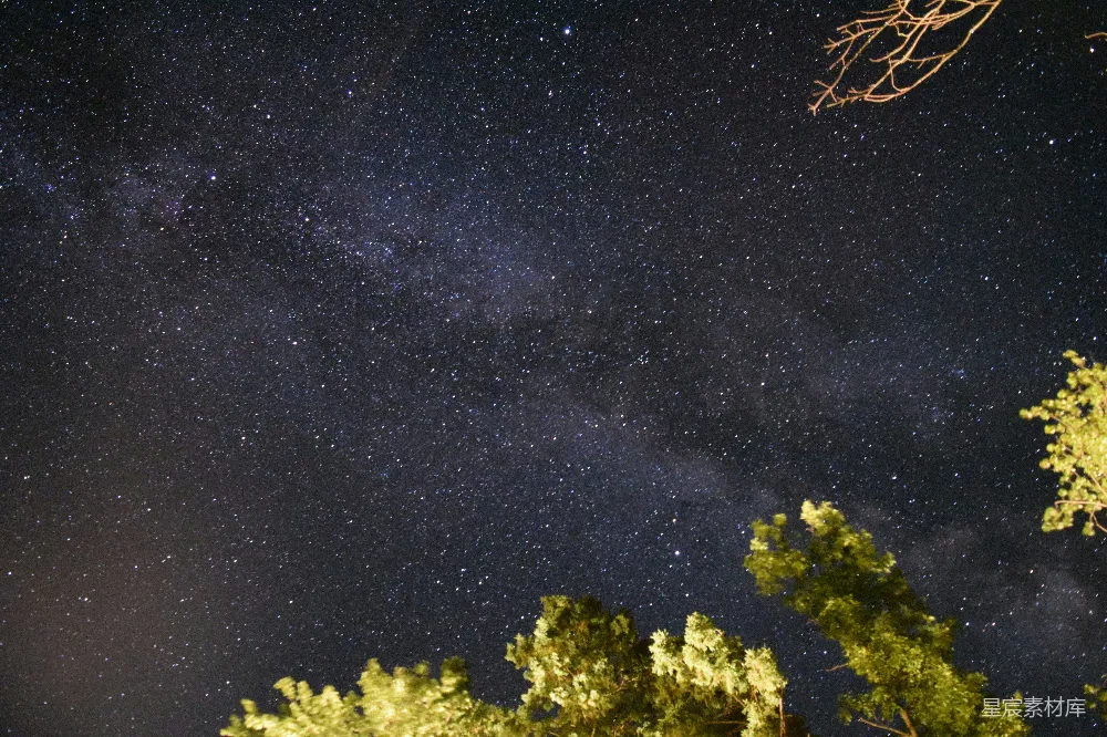 高清摄影 夜空 星星 自然 宁静 户外 璀璨星空下的树梢
