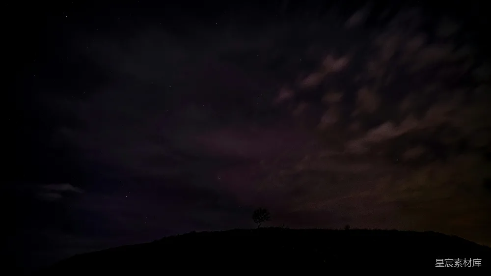 高清摄影 夜景 星空 孤独 自然 宁静 孤树下的夜空