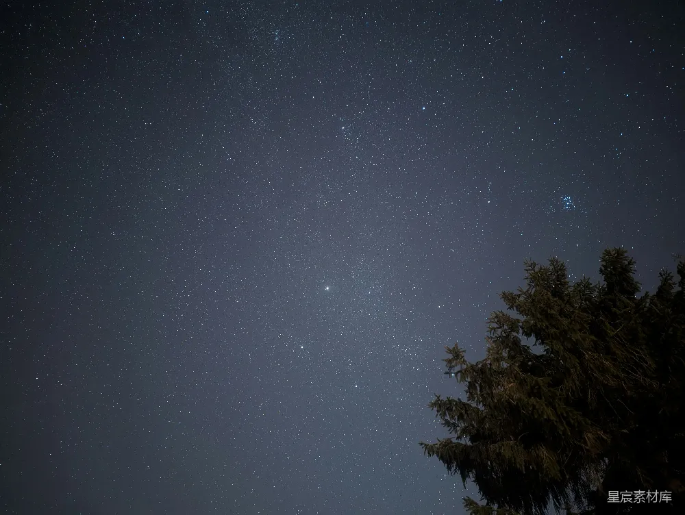 高清摄影 星空 自然 宁静 夜景 户外 夜空下的松树