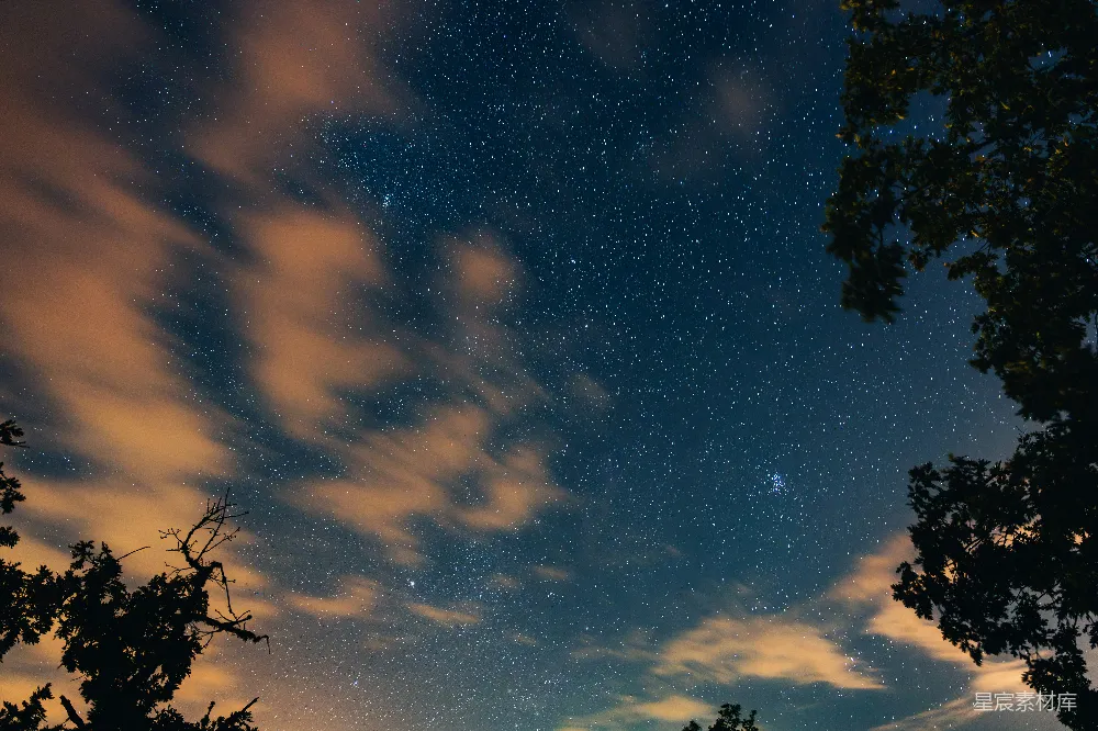 这张图片展示了夜空中繁星点点的壮丽景象。云朵在夜色中缓缓移动，与星星交织成一幅美丽的画面。树影在画面下方增添了一丝神秘感，使得整个场景显得更加宁静而深邃。适合用于表达宁静、神秘和自然美的主题。