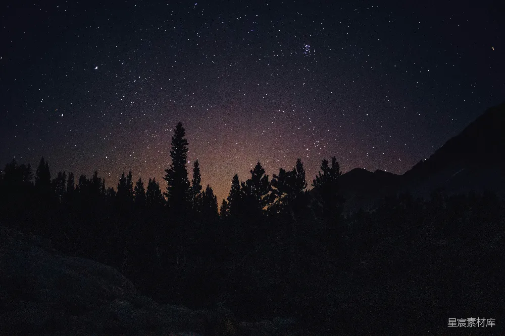 高清摄影 夜景 星空 自然 宁静 摄影 夜空下的森林剪影