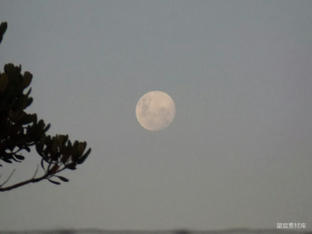 高清摄影 月亮 夜空 自然风光 宁静 浪漫 朦胧夜空下的满月