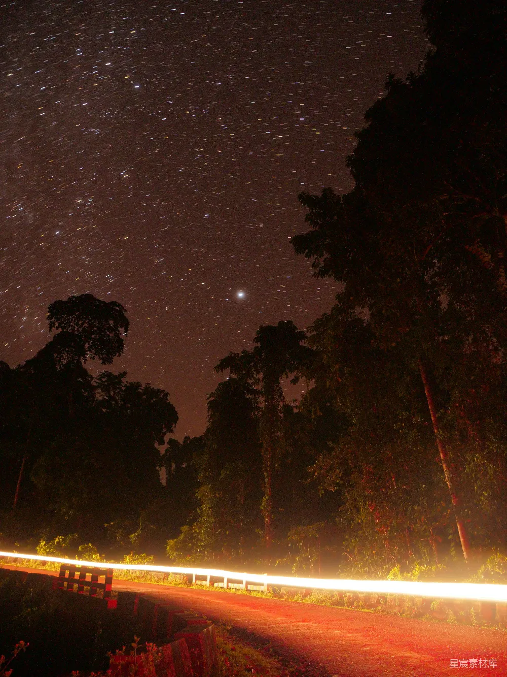 高清摄影 夜景 星空 森林 长曝光 自然 夜空下的林间小路