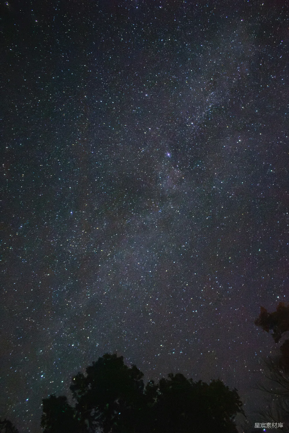高清摄影 星空 夜景 自然 宁静 宇宙 璀璨星空下的森林