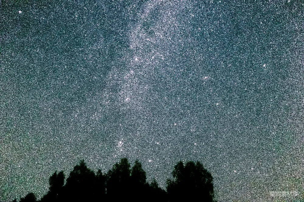高清摄影 星空 夜景 自然 宁静 树梢 璀璨星空下的树梢轮廓