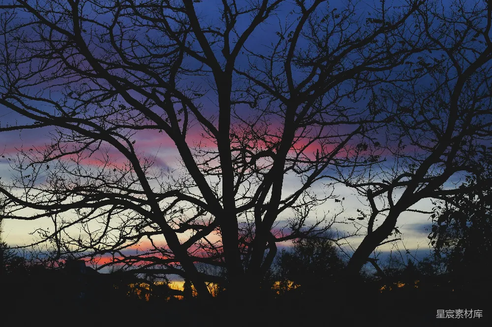 高清摄影 剪影 自然 夕阳 宁静 风景 剪影中的晚霞