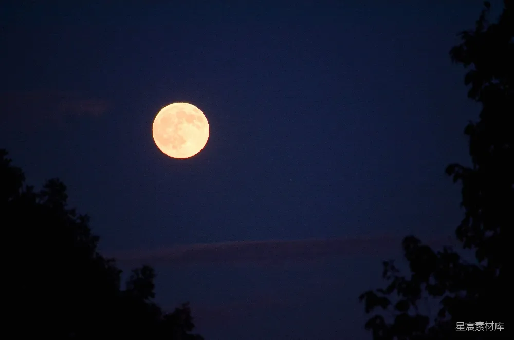 高清摄影 满月 夜景 自然风光 宁静 浪漫 夜幕下的粉红色满月