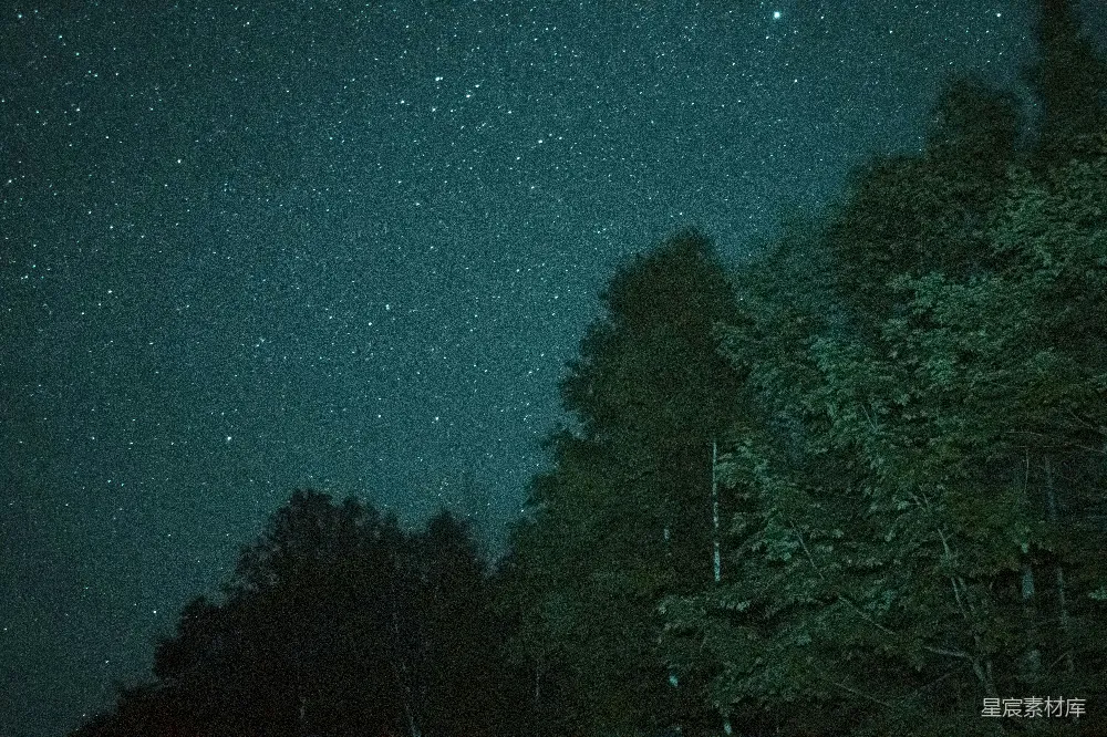 高清摄影 夜景 星空 自然 宁静 户外 夜幕下的森林星空