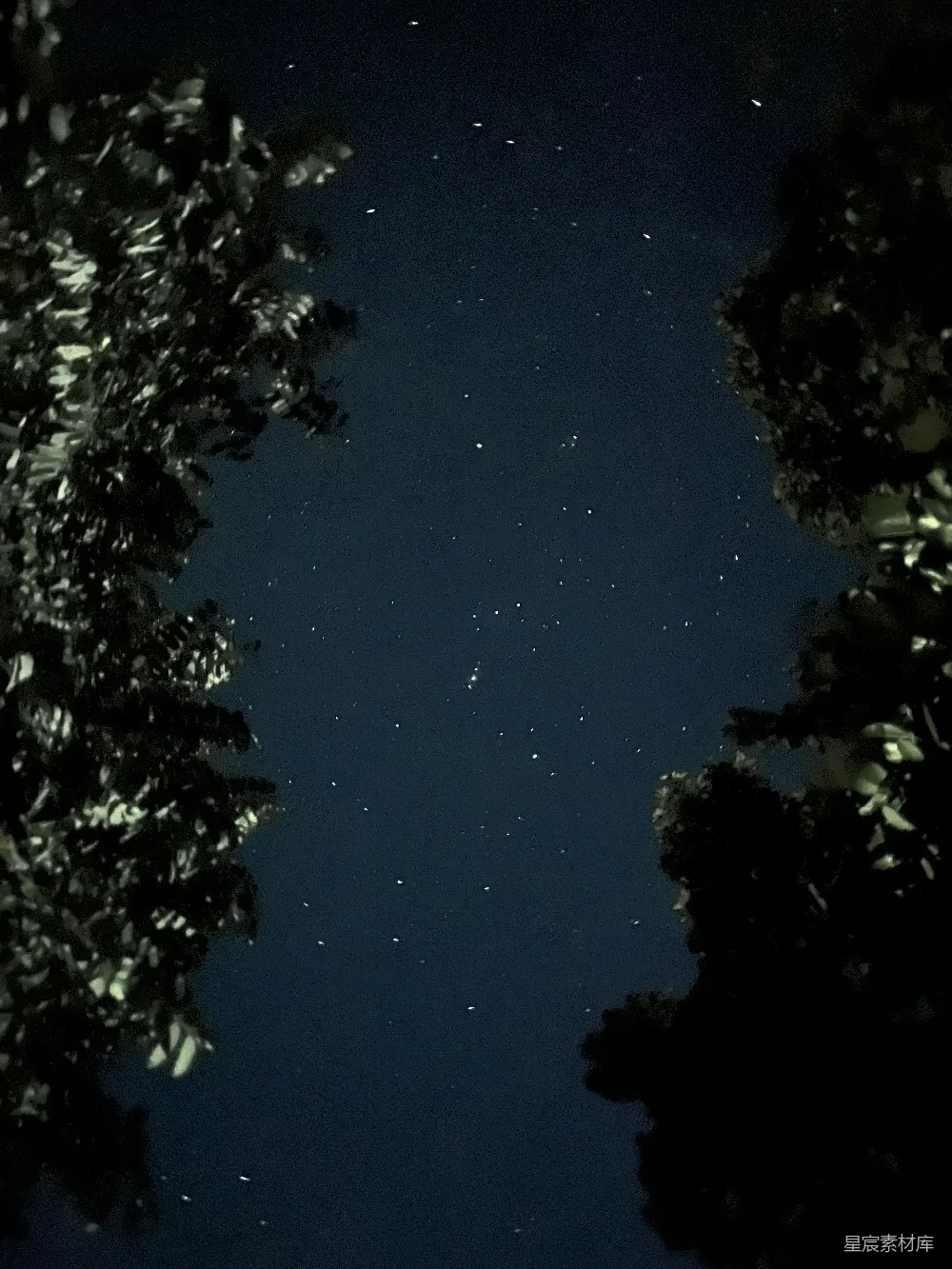 高清摄影 夜空 星星 自然 宁静 摄影 夜空中的繁星