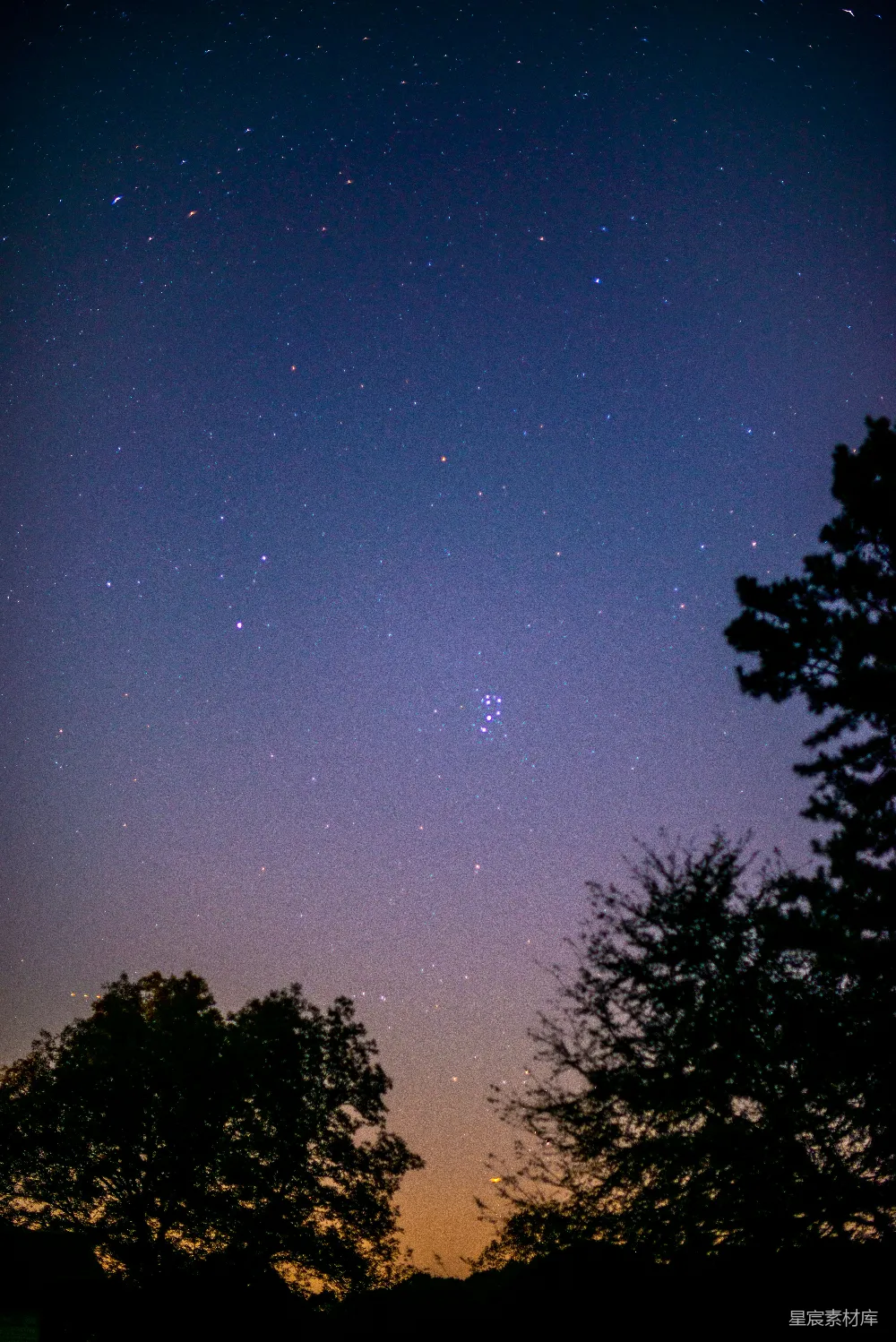 高清摄影 夜空 星空 自然 宁静 夜空下的繁星