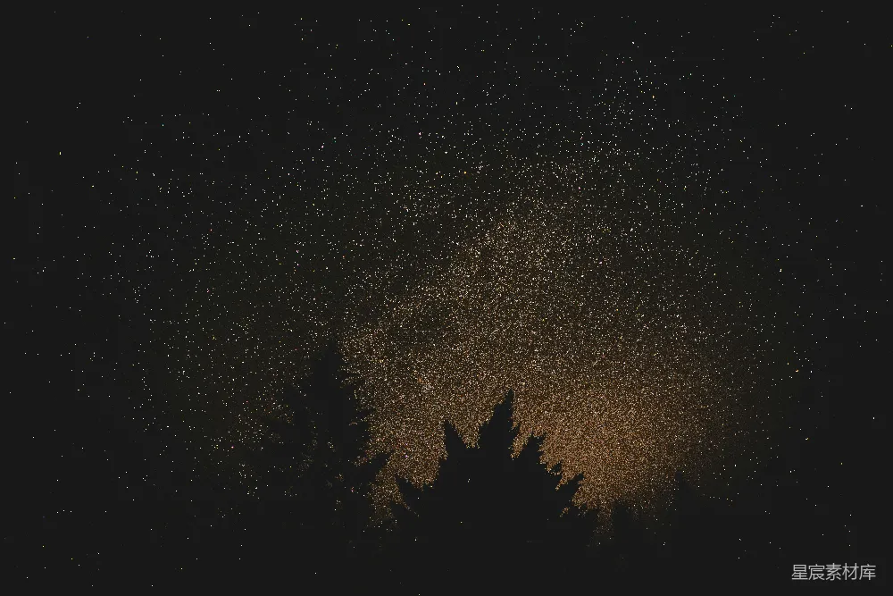 高清摄影 夜景 星空 自然 宁静 户外 夜空下的树影与繁星