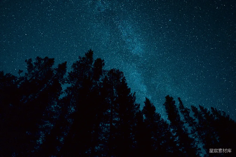 高清摄影 夜景 星空 自然 宁静 森林 夜空中繁星点点